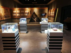 展會展廳裝修設(shè)計展示設(shè)備制作工廠加工